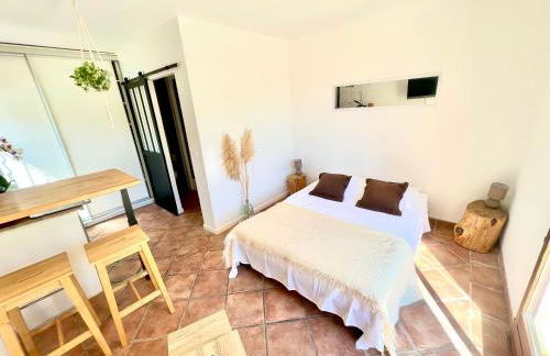 Studio avec jacuzzi et piscine - Foto 6