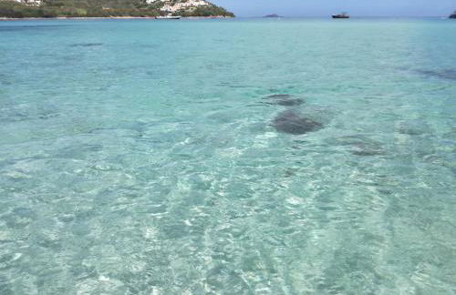 Lucky Apartment - Foto 28