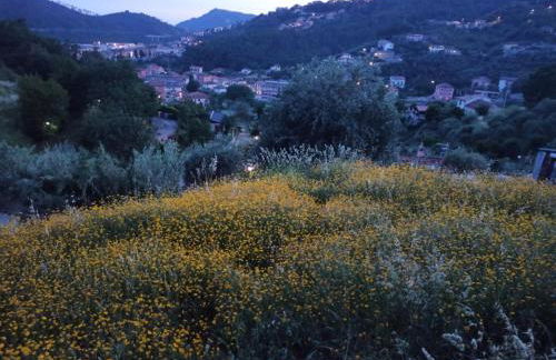 Il Glicine cozy appartamnent, near Sestri Levante between Cinque terre e Portofino - Foto 46