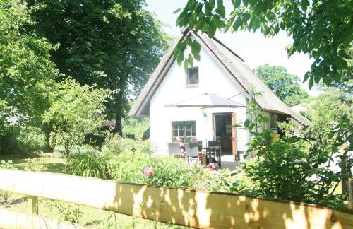 Reetdach Ferienhaus nahe Ostseebad Kühlungsborn - Foto 16