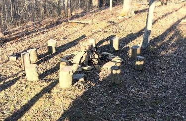 Cozy Family-Friendly Cabin with Private Outdoor Jacuzzi near Huntington, West Virginia - Foto 9