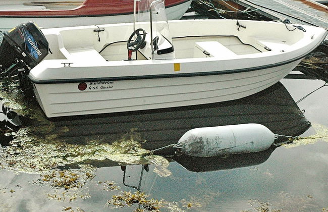 6 Person Holiday Home in Farstad-by Traum - Foto 11