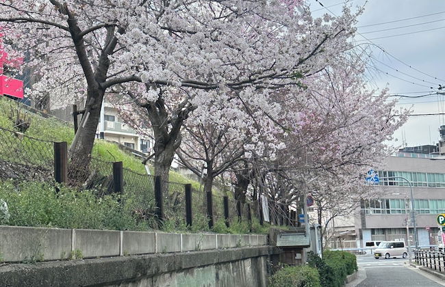 Tabi Time Kishinosato Miyama - Photo 37