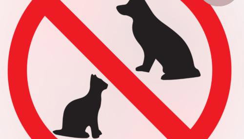 Casinha da Ana - Foto 2