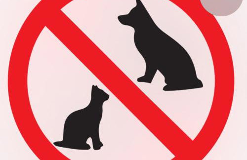 Casinha da Ana - Foto 2