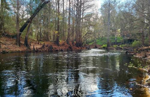 River Daze Cabin - A cozy cabin right on the river - Foto 27