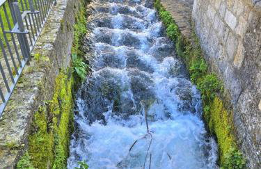 La pause en Seine -Wifi - Foto 47