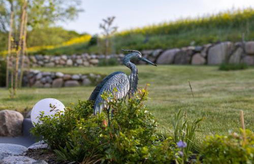 Irish Cottage Seeschwalbe - Foto 20