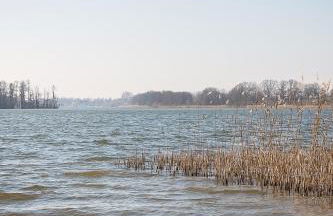 Ferienhaus-Wehr - Foto 49