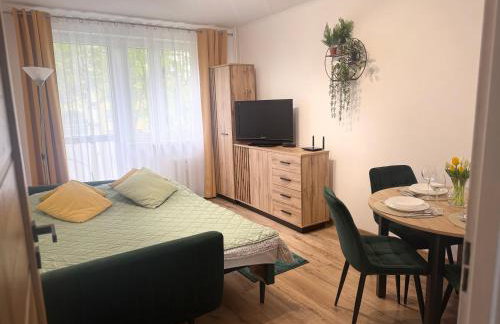 Apartament Osiedle Kmiecie - Photo 7