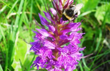 Agriturismo Le Castellare - Foto 27