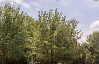 La Bergerie - Photo 33