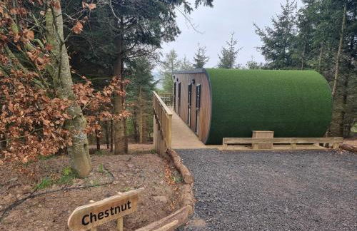Chestnut Lodge with Hot Tub - Foto 2