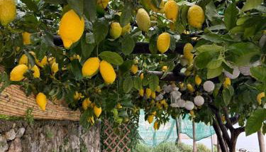 Appartamento di RAPHAEL con vista mare - Foto 2