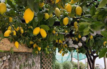 Appartamento di RAPHAEL con vista mare - Photo 19