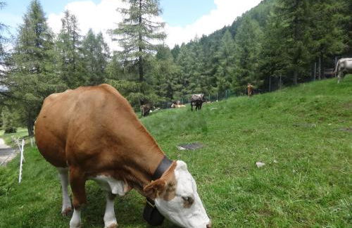 Le Cappellette - Foto 32