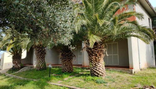 Villa del Palmeto - Foto 2