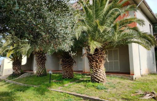 Villa del Palmeto - Foto 2