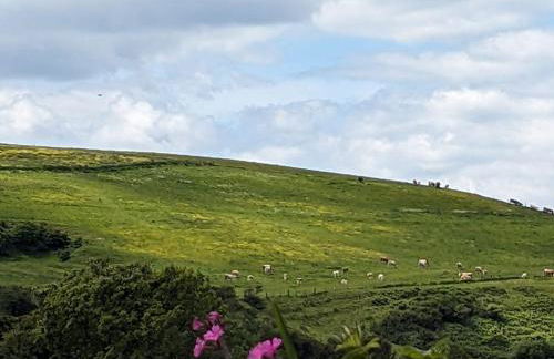 The Pepper pot - Photo 27