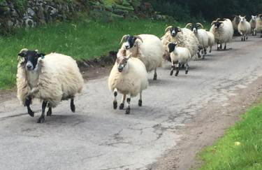 Ridgewood Apartment - Foto 25