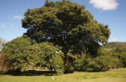 Casa de Fazenda Histórica, Mergulhada na Natureza, com Vista Panorâmica Deslumbrante e Grande Varanda a 2 km do Centro - Foto 28
