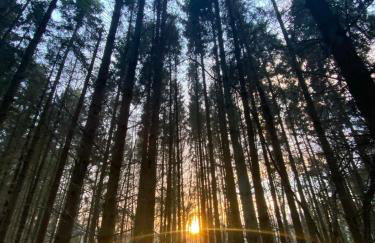 Amazing cottage right in the heart of Ewhurst Green, overlooking Bodiam Castle - Foto 28