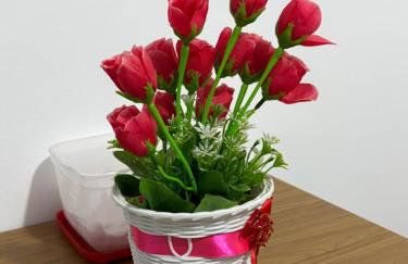 Pousada Miss Roses - Foto 24