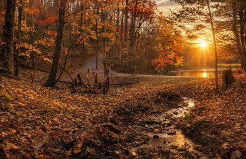 Alpine Joy-Hot Tub, Pond Access ,Cozy Cabin Retreat in the Smokies - Foto 37