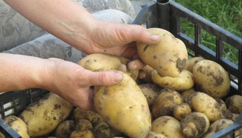 Ospitalità rurale La Svizzera - Photo 5