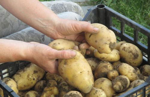 Ospitalità rurale La Svizzera - Foto 5