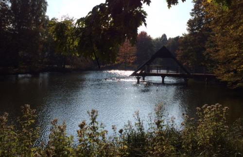 Ferienwohnungen Lohner Höhe - Foto 32