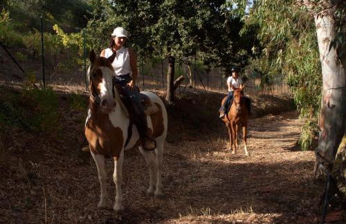 Agriturismo Al Poggetto - Foto 64