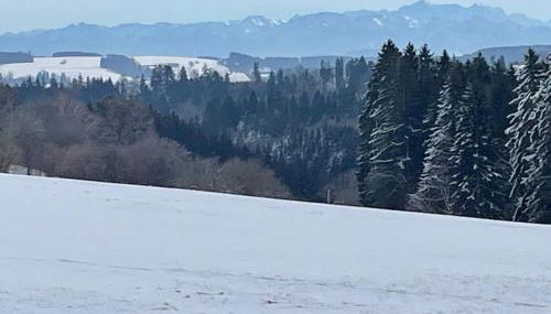 Ferienwohnung Cilli - Foto 3