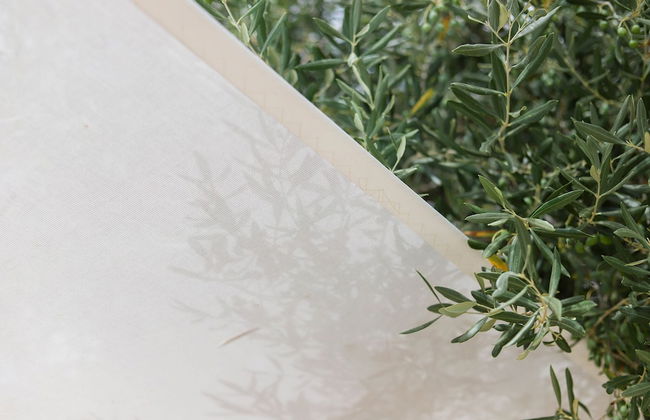 TD Trulli Balice Cozy Trulli with Pool - Foto 25