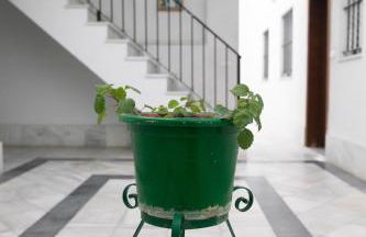 Beréber أحلام Apart 1 o 2 habitaciones - Foto 45