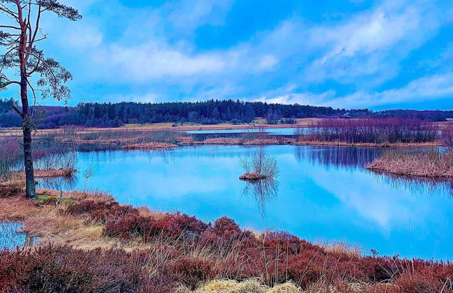 8 Person Holiday Home in Silkeborg-by Traum - Foto 32