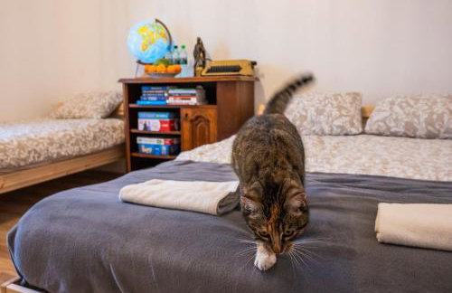 Agroturystyka Świętego Józefa - Foto 48