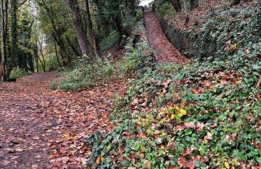 Finest Retreats - Suzys Cottage - Foto 19