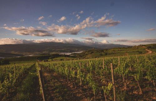 Mastrojanni Relais - Foto 61