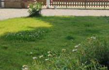 Cascina Pelizza - Foto 18