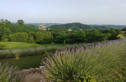 HillTop House - Foto 14