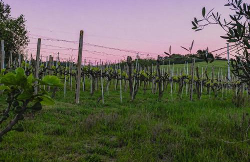 Tenuta dei Franceschi Luxury Villa Private Pool Countryside - Photo 33