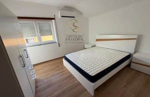 Cepas do Salgueiral - Guest House - Apartamento Centro de Tondela - Foto 2