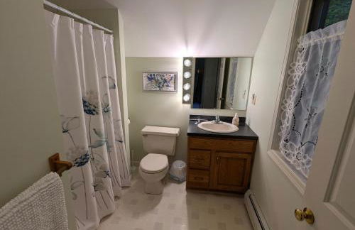 Tranquil NH Lakehouse Escape - Foto 29