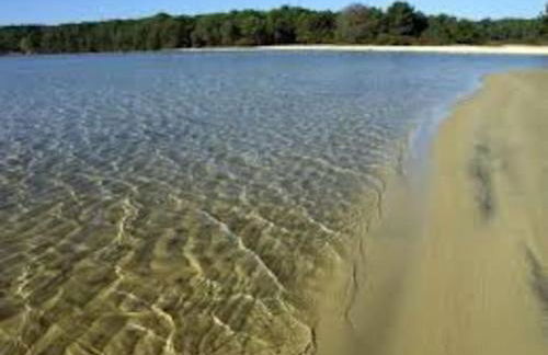 Cosy&Charme piscine chauffée Bassin d'Arcachon - Foto 61