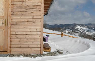 Domki na Polach Piwniczna-Zdrój - Foto 73