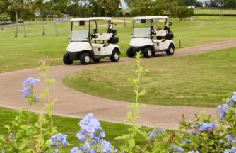 Kaanapali Beach Vacation Rental - Foto 51