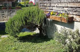 LA CORTE DELLA CARLA - cozy home in the old court - Foto 26