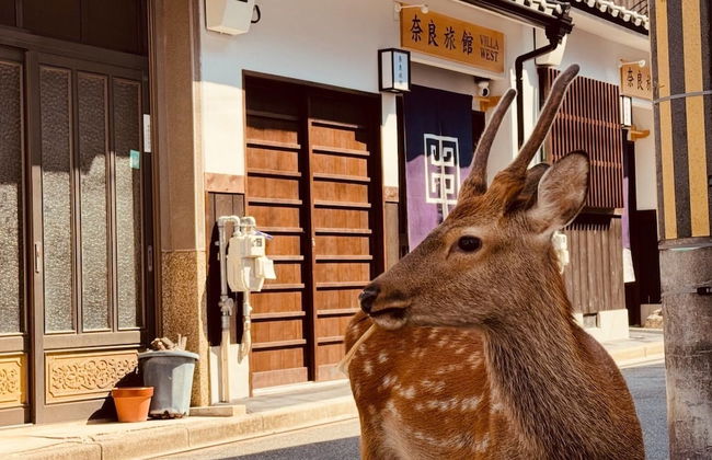 Nara-Ryokan Villa West - Foto 20