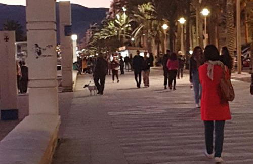 La cueva inès - Foto 46